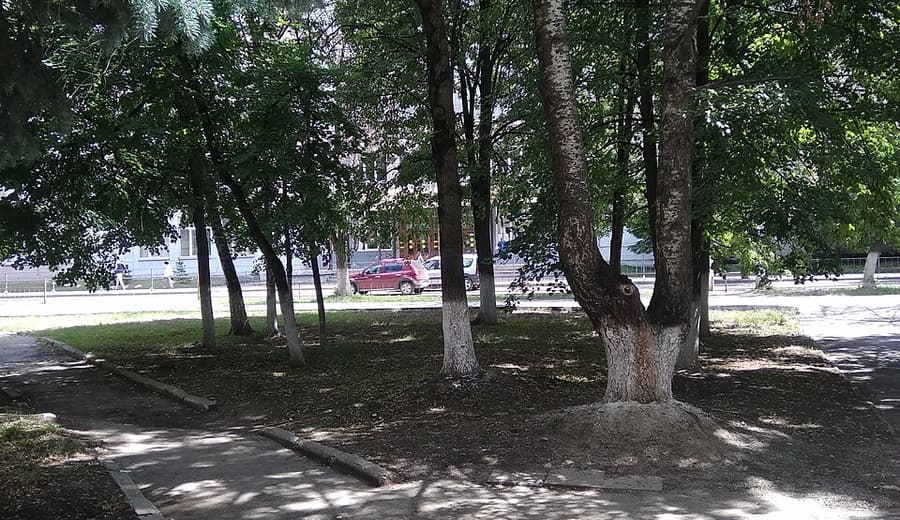 Отдых в Туле