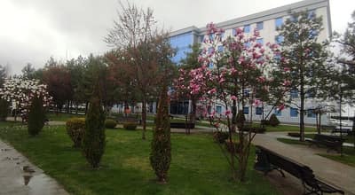 Отдых в Краснодаре