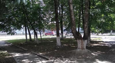 Отдых в Туле